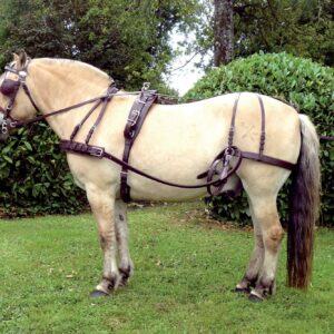HARNAIS LUXE AVEC BRICOLE