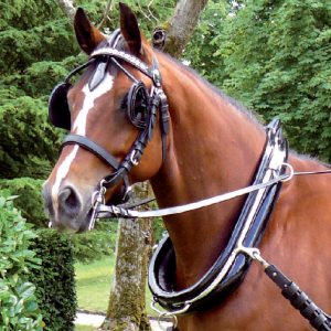 COLLIER BRICOLE